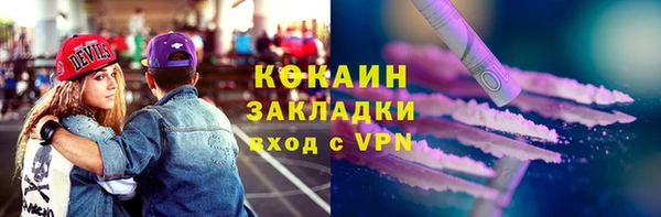 индика Заволжье