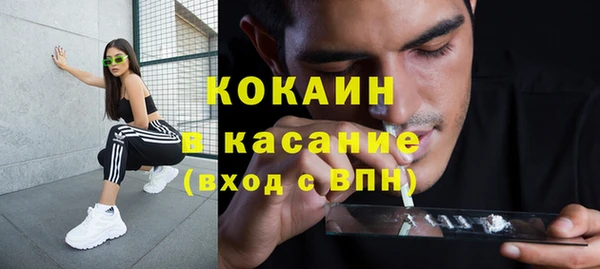 индика Заволжье