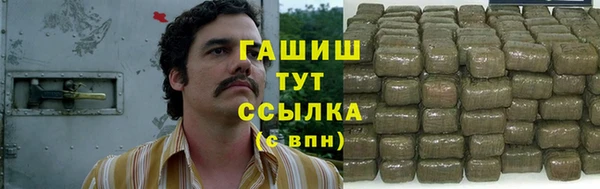 индика Заволжск
