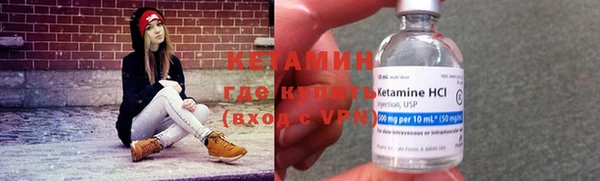 индика Заволжье