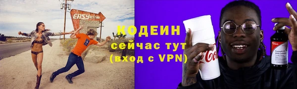 индика Заволжье