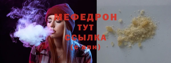 индика Заволжье