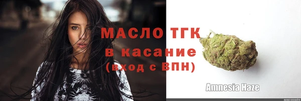 индика Заволжск