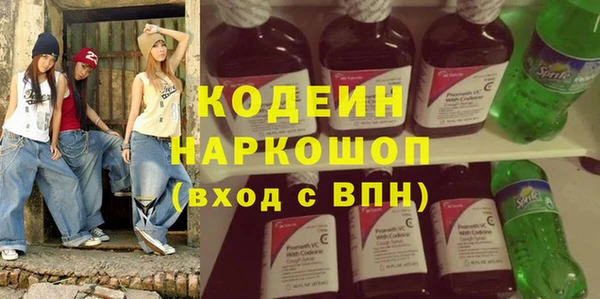 индика Заволжск