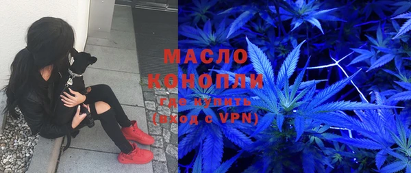 индика Заволжье