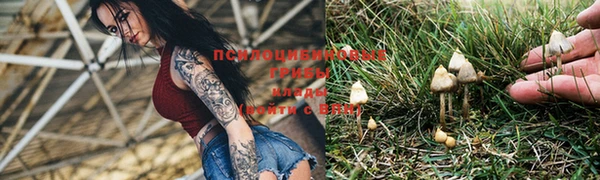 индика Заволжск