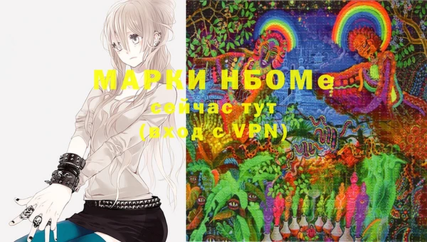 индика Заволжск