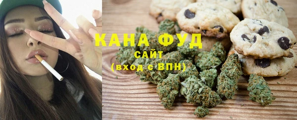 индика Заволжье