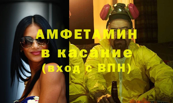 индика Заволжье