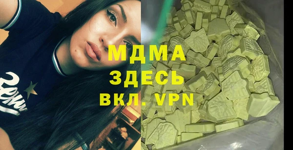 индика Заволжье