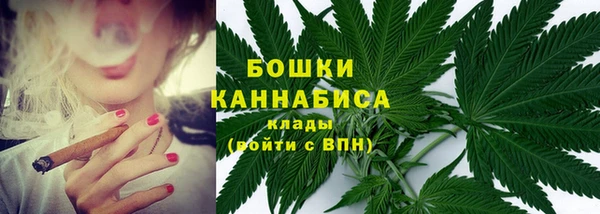 индика Заволжье