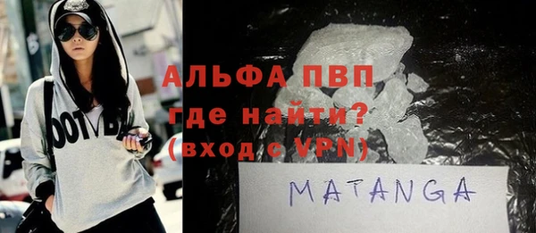 индика Заволжск