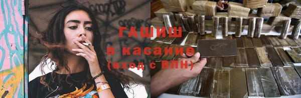 индика Заволжье