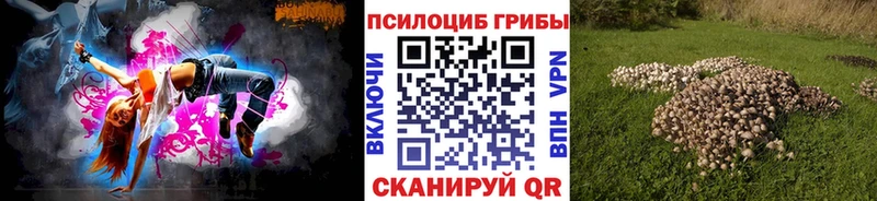 Купить закладки  Кораблино  Псилоцибиновые грибы GOLDEN TEACHER 